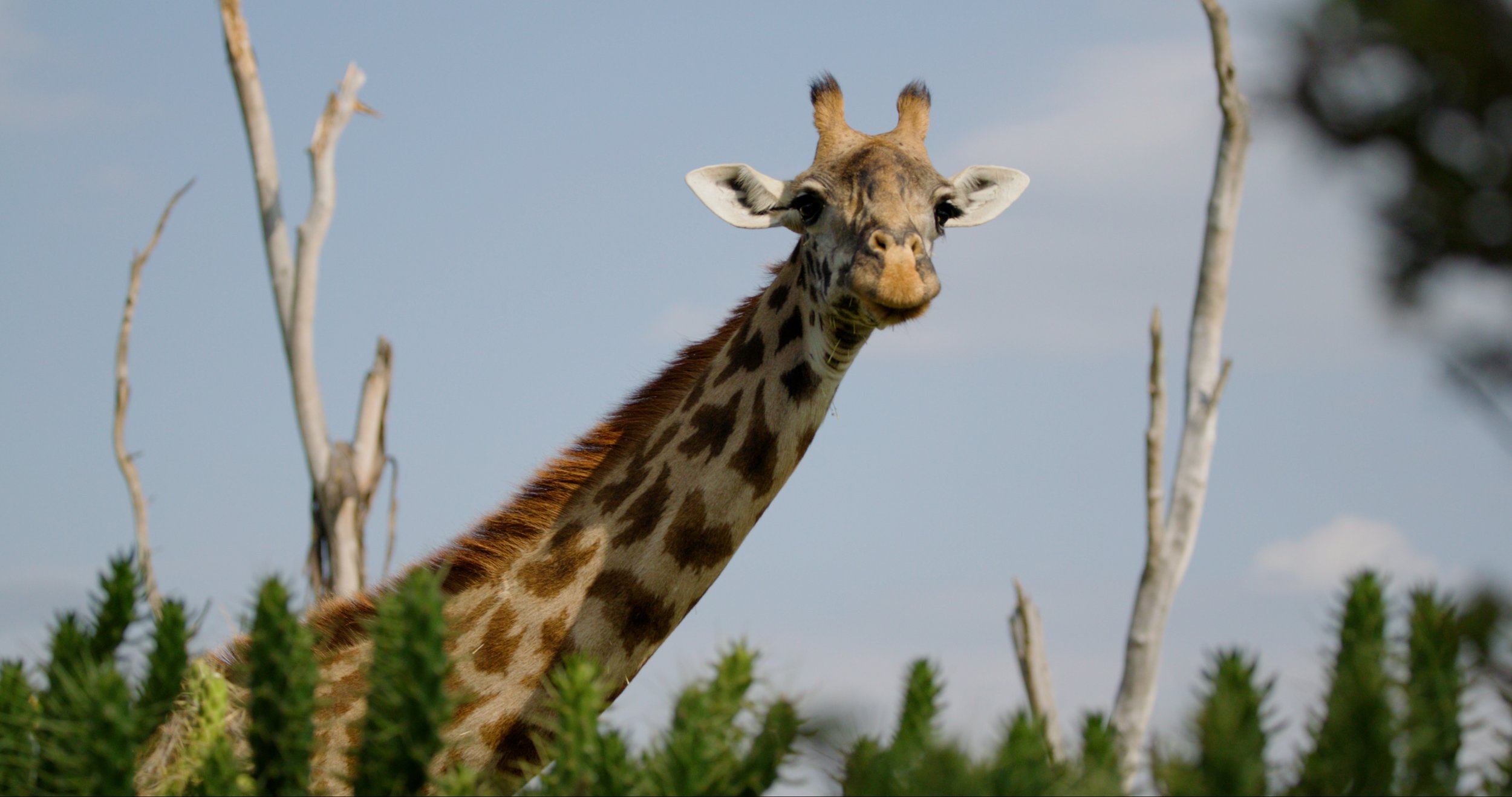 Climate Breakthrough: Kenya Retreat