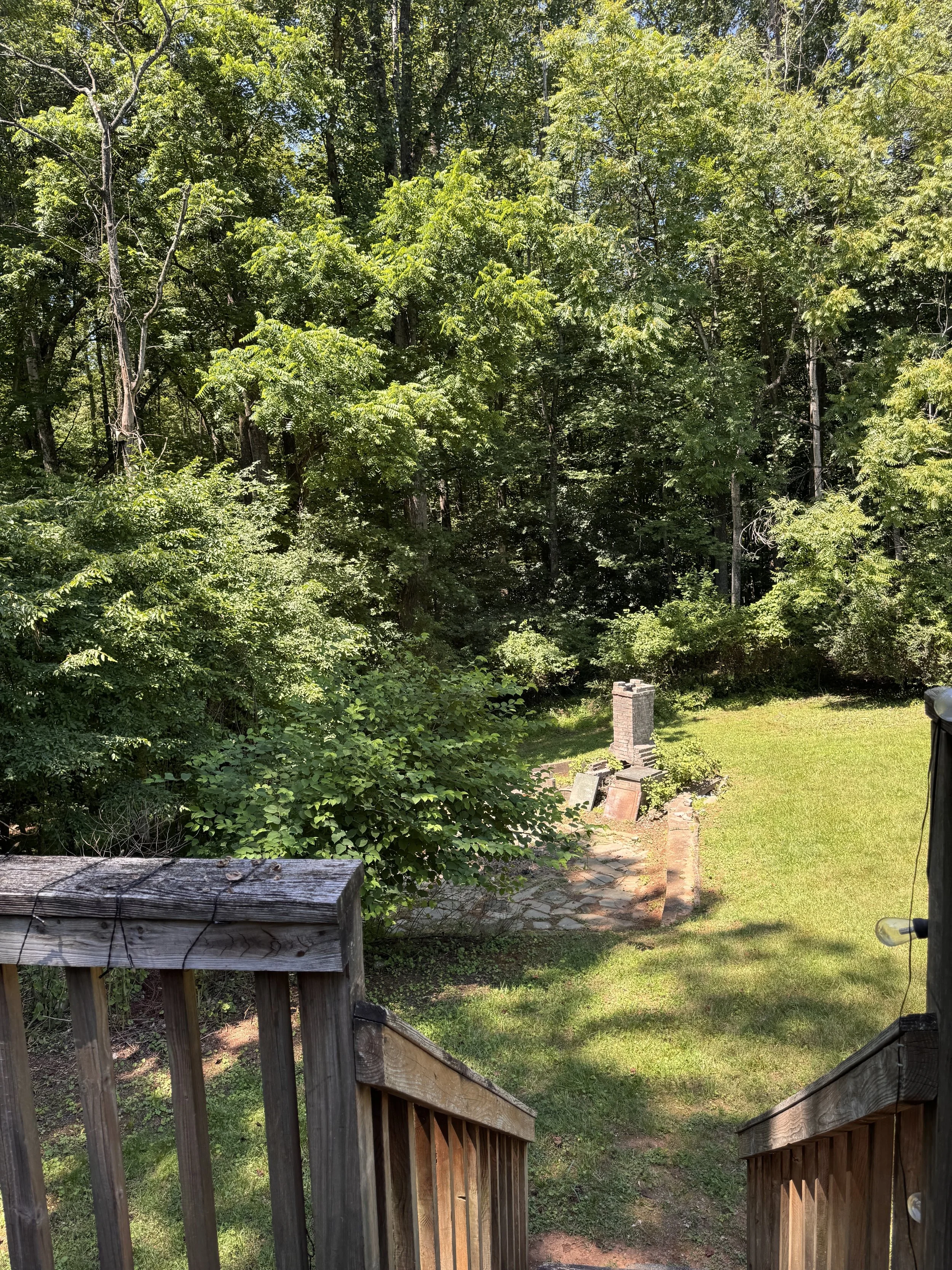 613 Westview backyard.jpeg