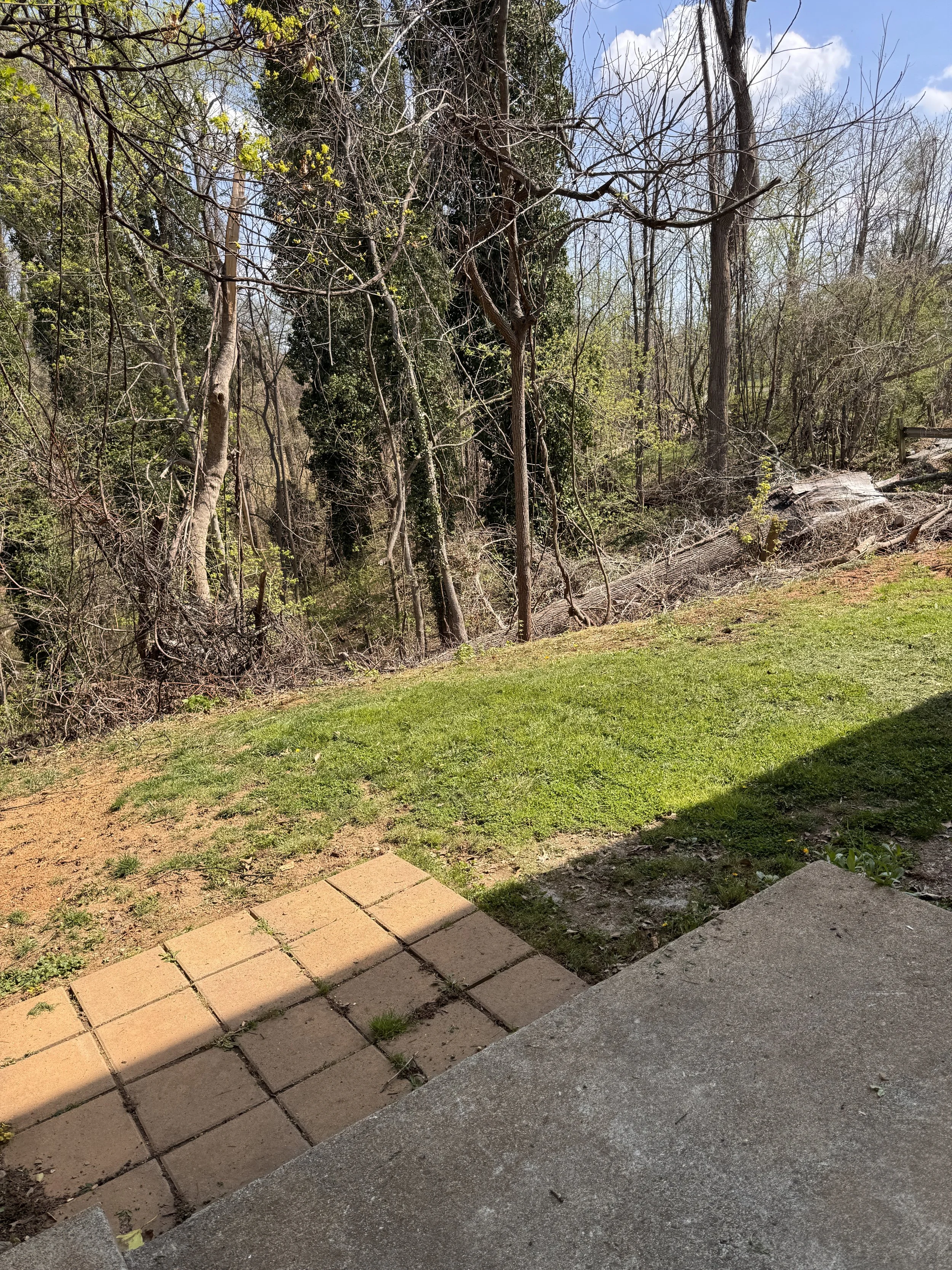 80 N Princeton B23.JPG