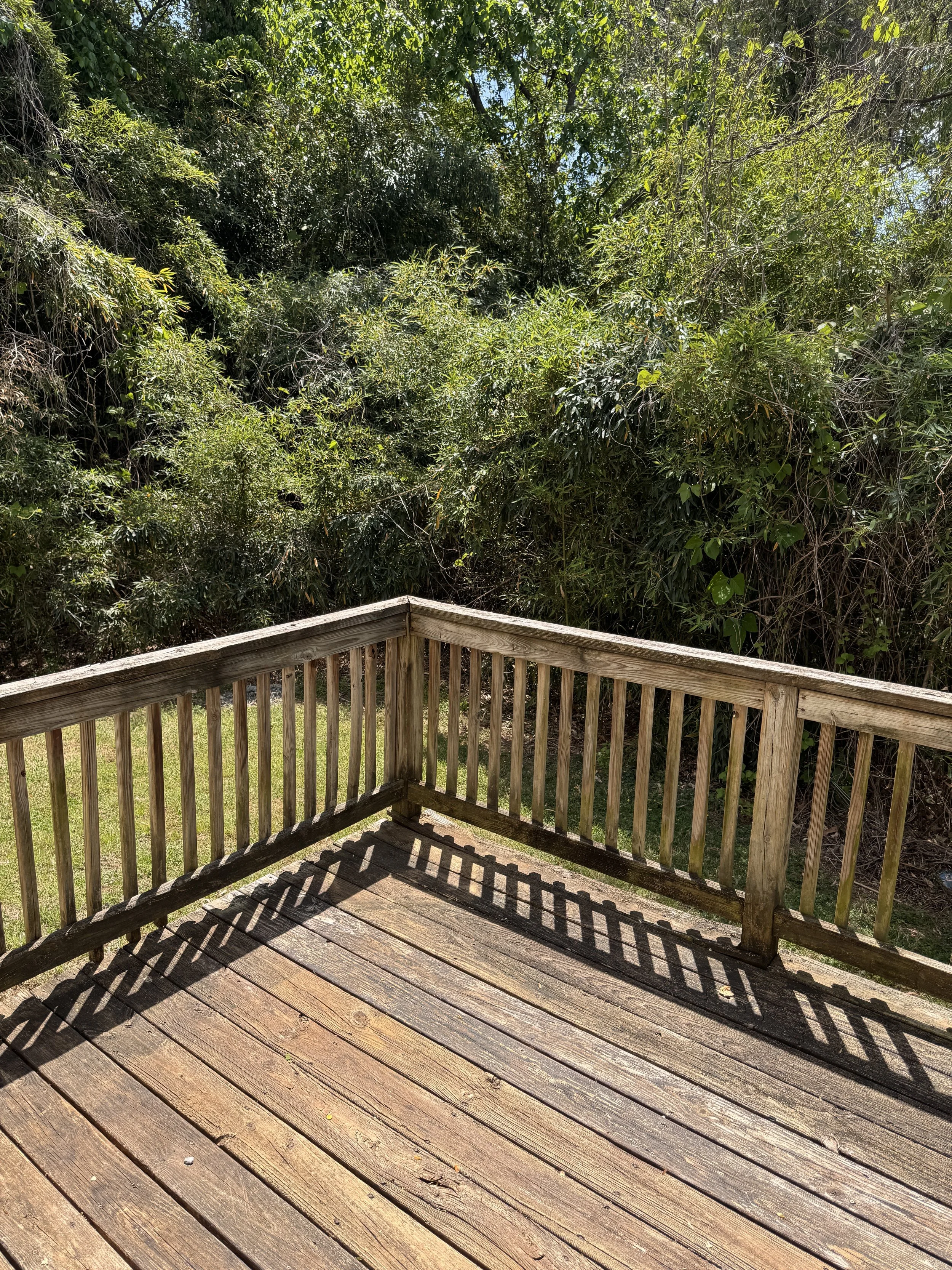 540 Monticello B12.JPG