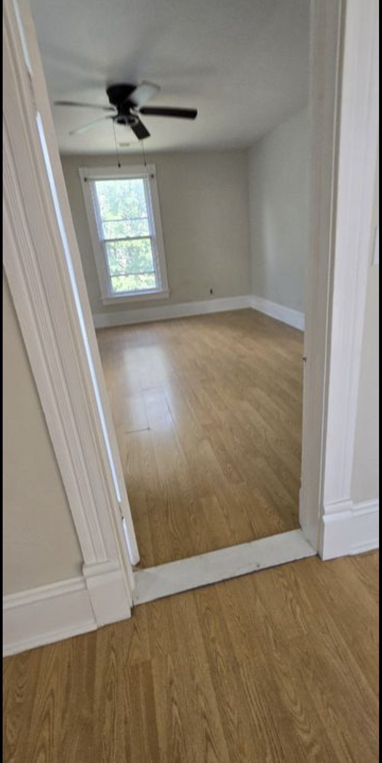 1105 Fillmore St16.jpg