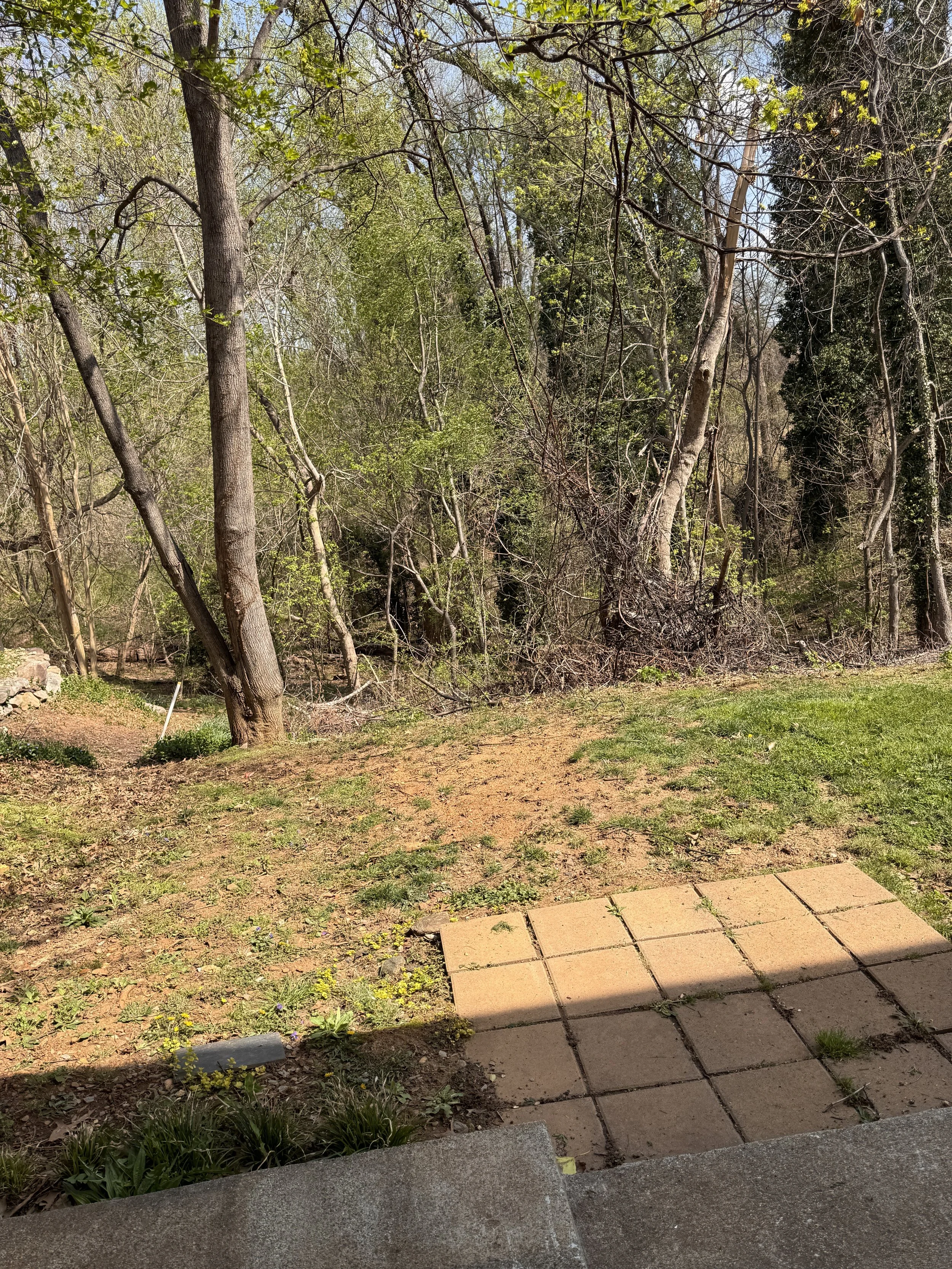 80 N Princeton B24.JPG