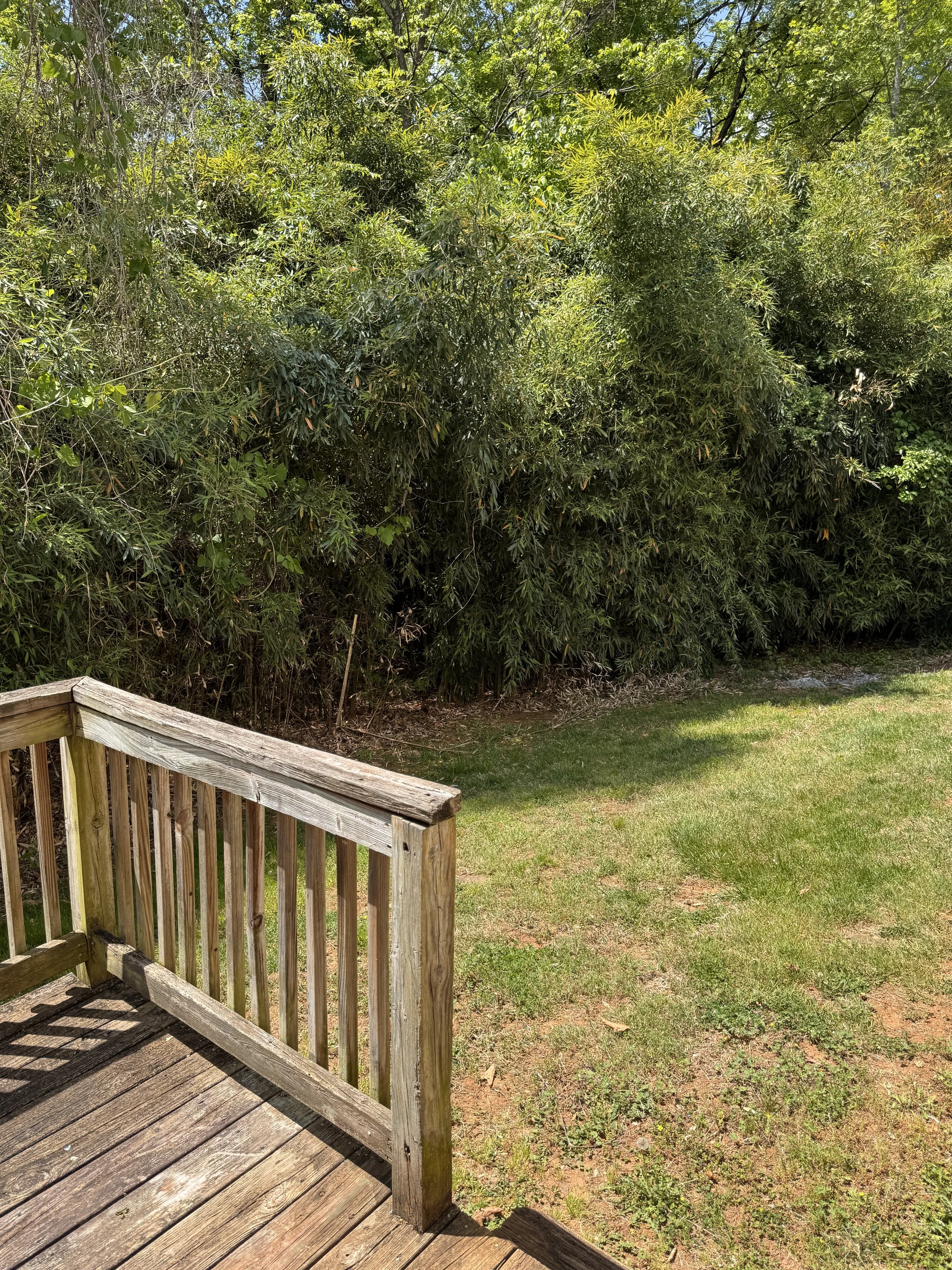 540 Monticello B13.JPG