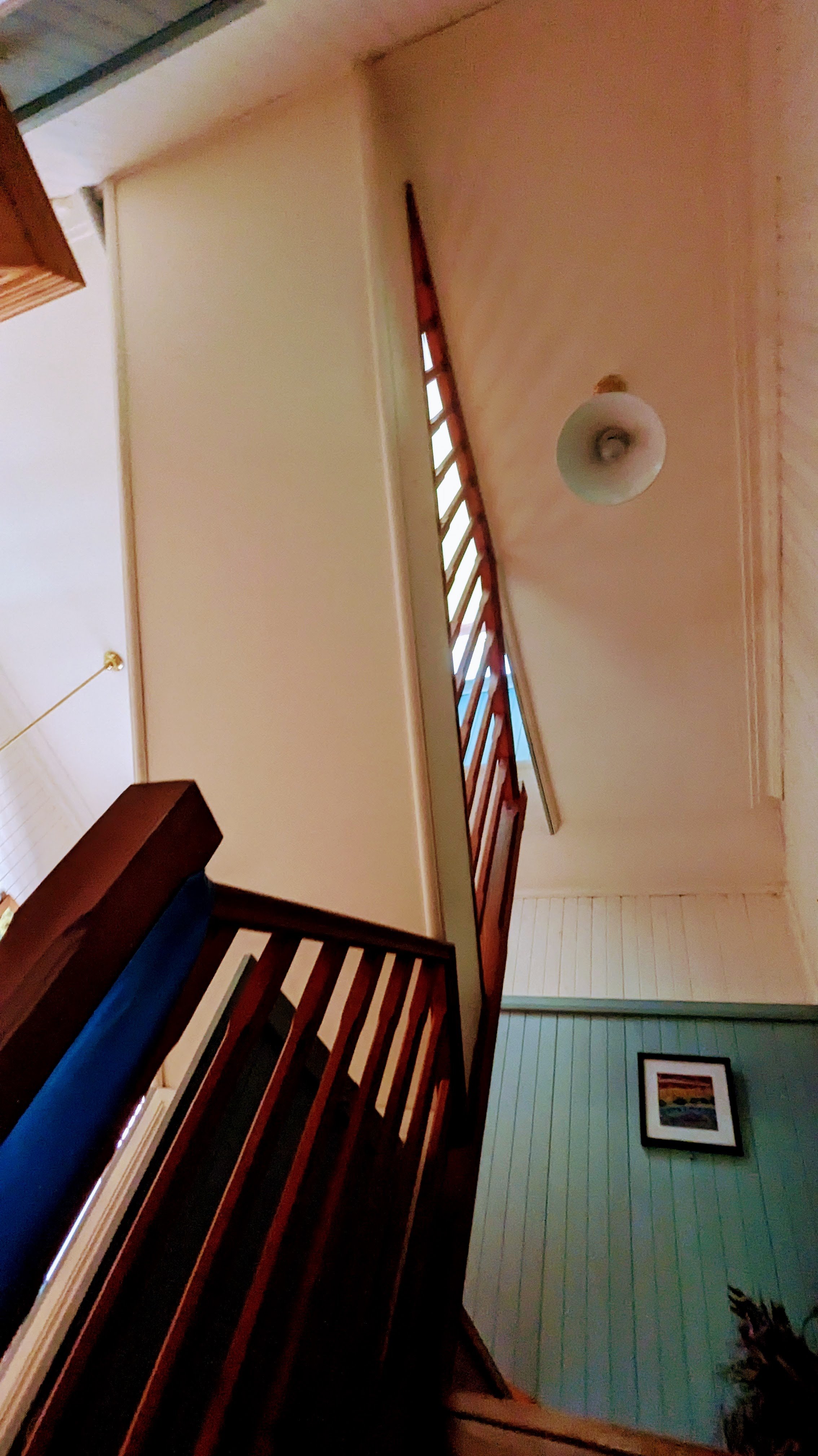 PXL_20240324_053514365.jpg