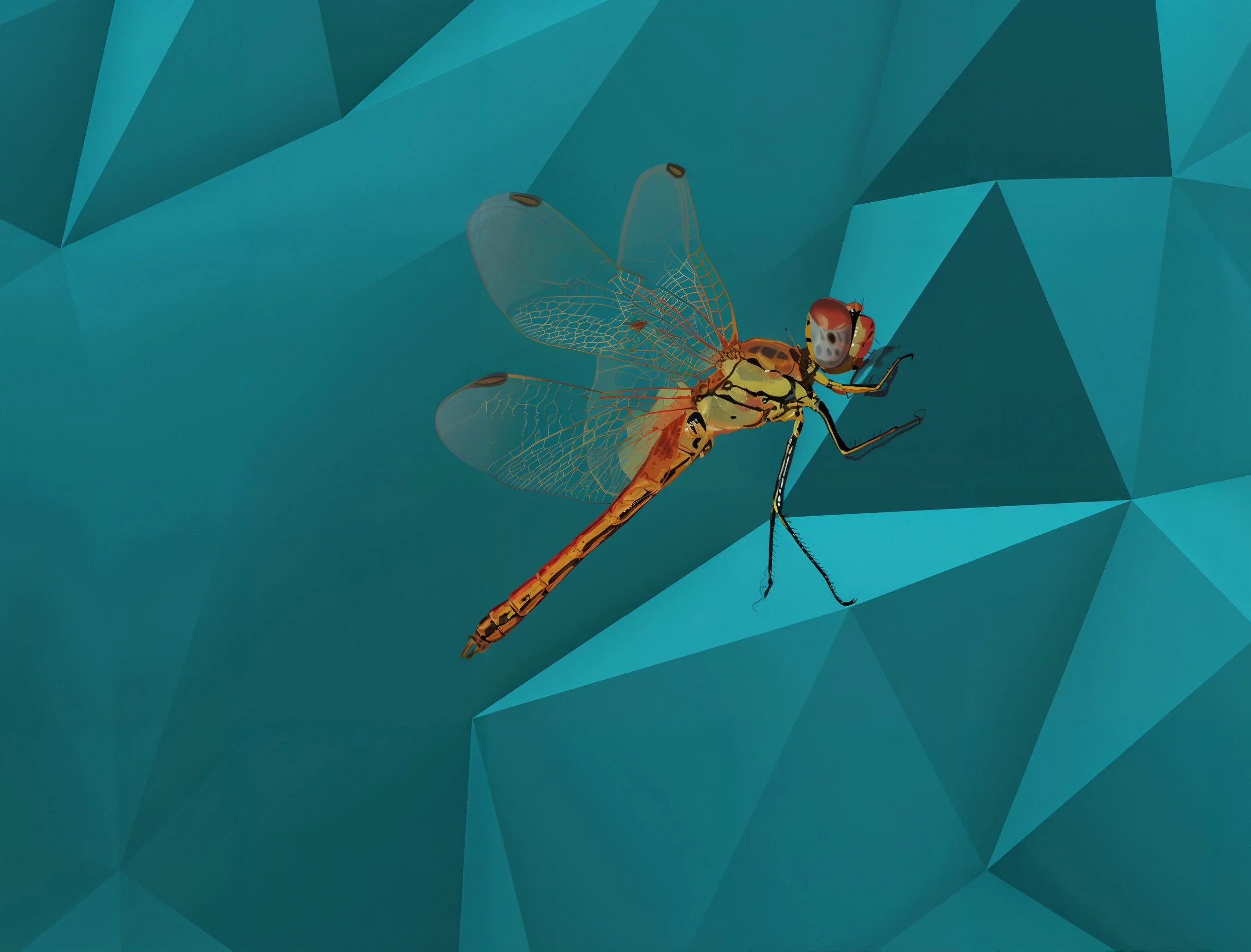 Illustration of a dragonfly on a geometric background.