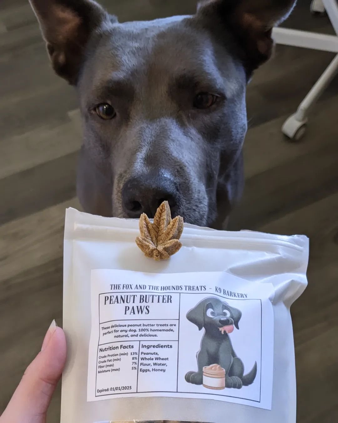 Our VP of Taste Testing is hard at work today making sure we've got the good snacks for the special day tomorrow 🫠😉
These yummy treats contain no hemp, CBD or THC products, just wholesome peanut butter! They are just fun shapes! Grab yours tomorrow