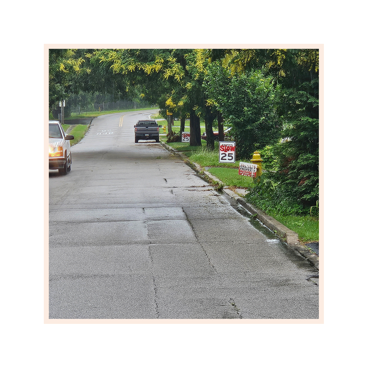 Sandra Jones Mitchell