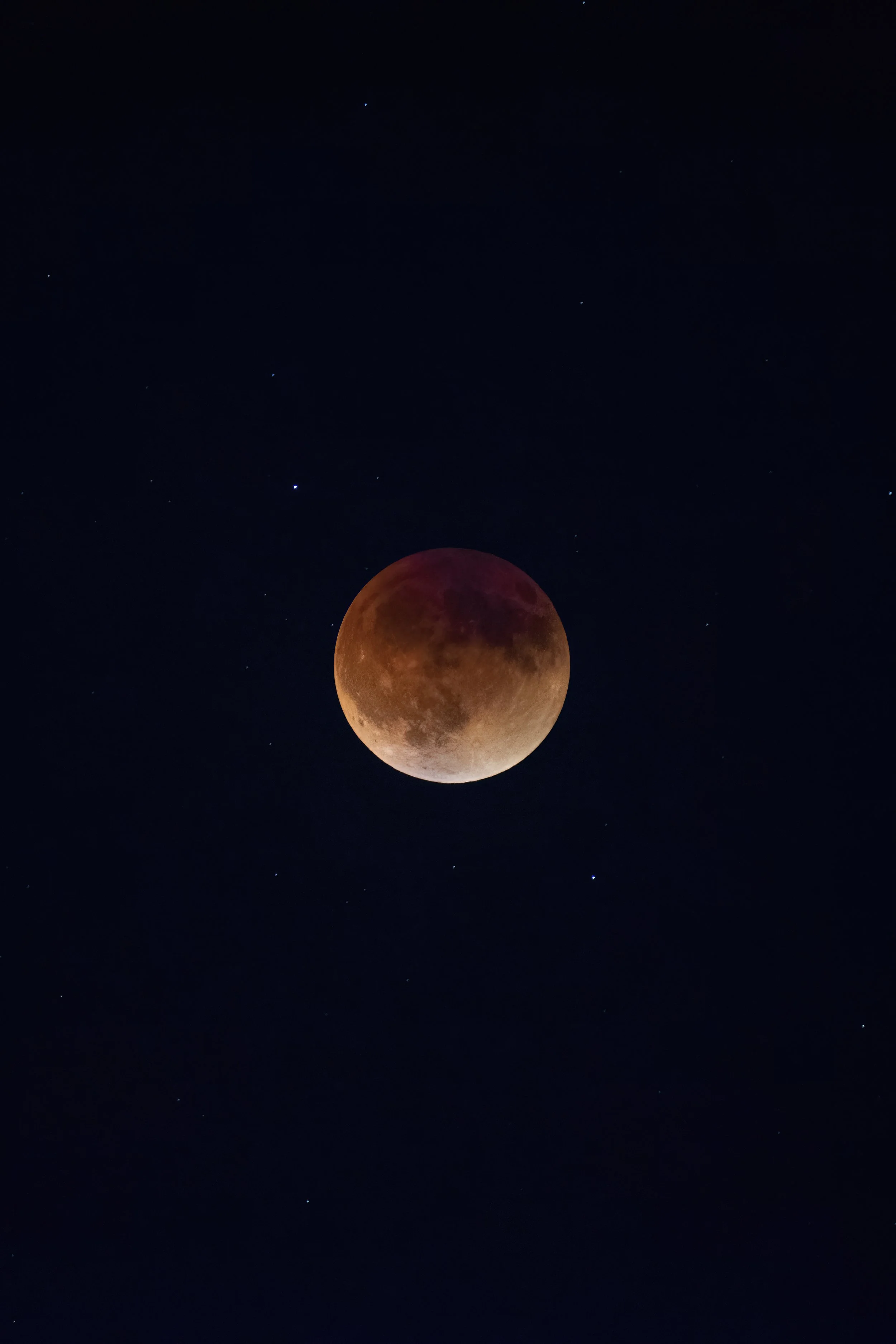 DSC_0283-DeNoiseAI-low-light-standard-scale-2_00x-gigapixel.jpg