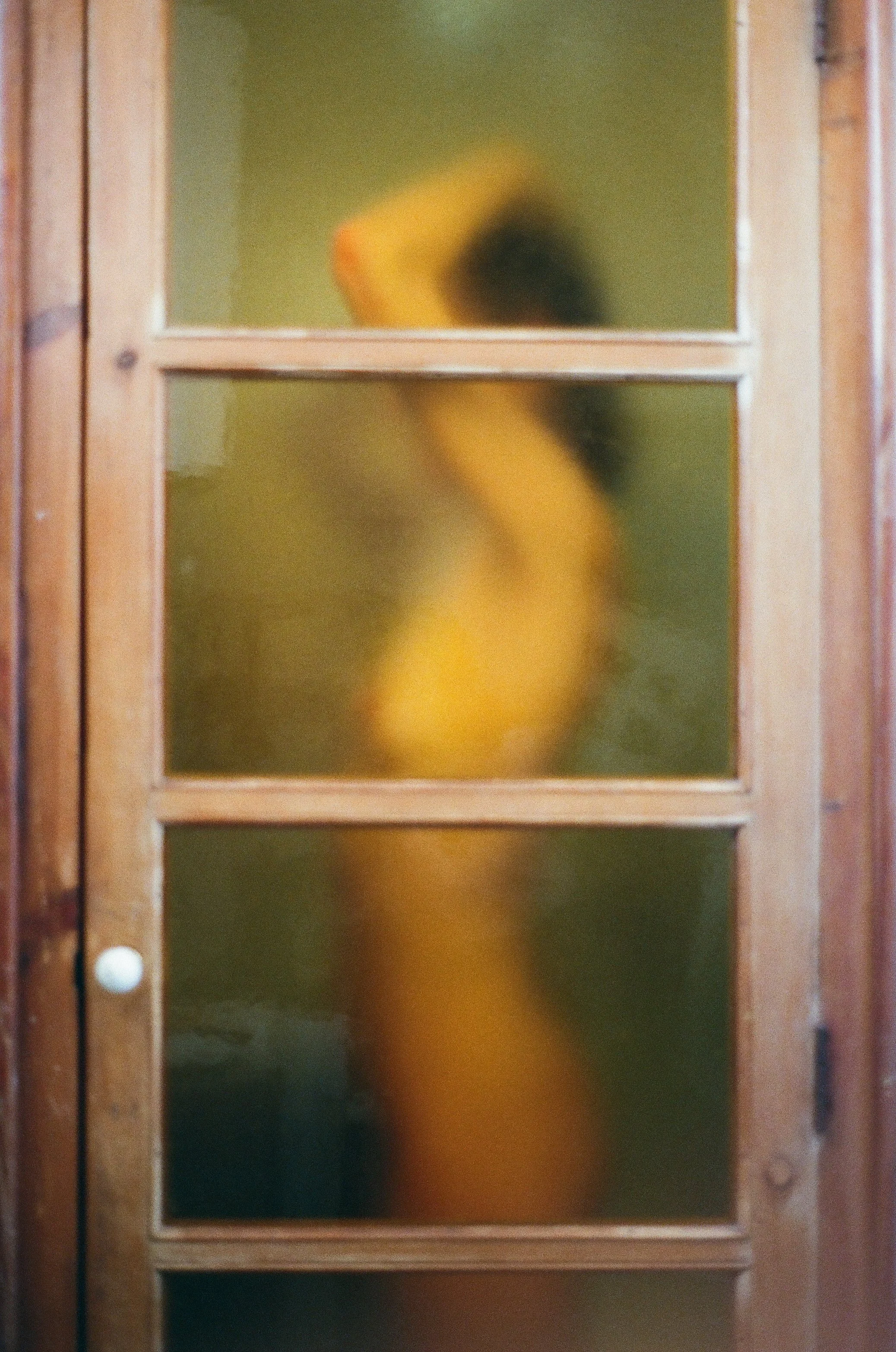 0007_4001252910007.jpg