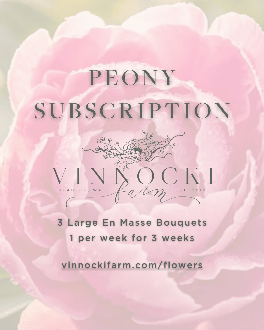 Peony Subscription - Farm Pick Up - 27 May | 3 June | 10 June