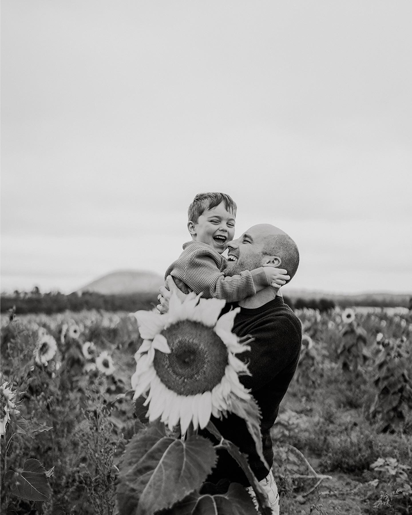 I look forward to this time every year. Sunflower picking with my family, from a couple months back. 🌻