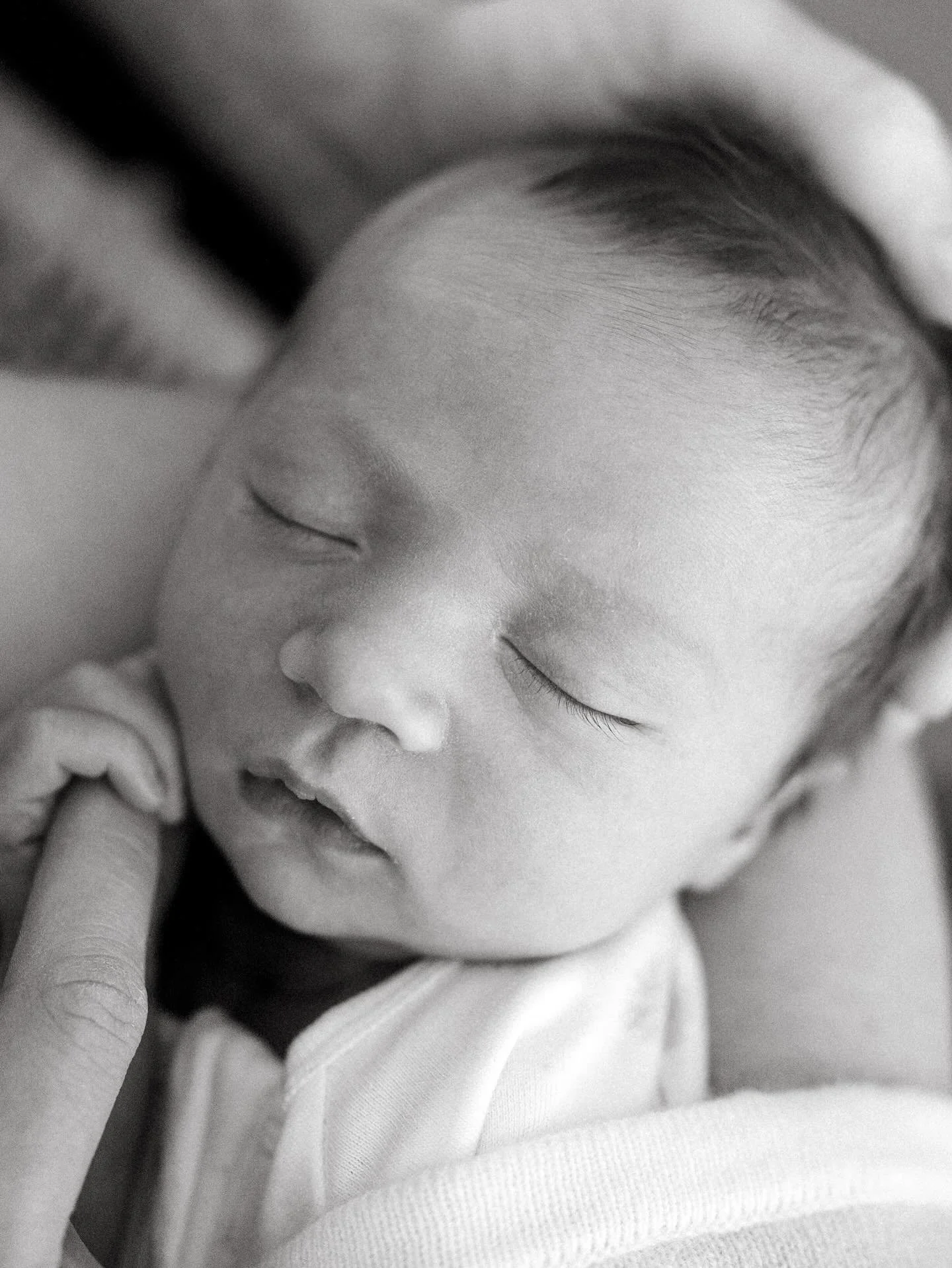 If you&rsquo;ve been thinking of booking in a shoot, now is the perfect time. I&rsquo;ve got availability till mid Jan 2026. Then things might look a little different for the next year, as my family and I travel Australia! But i&rsquo;ll share more o