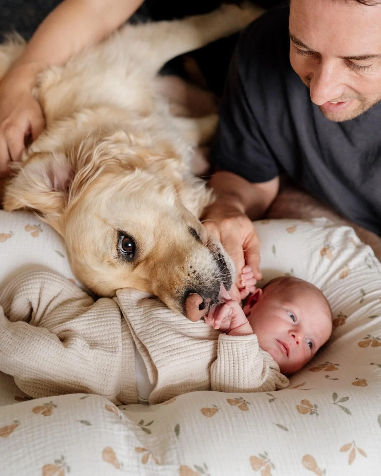 One for the dog lovers ❤️