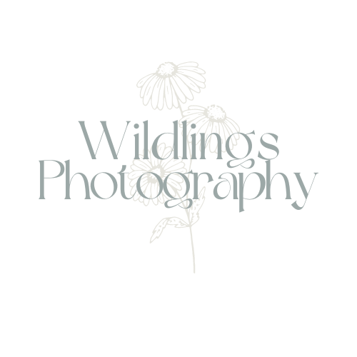 Wildlings Photography