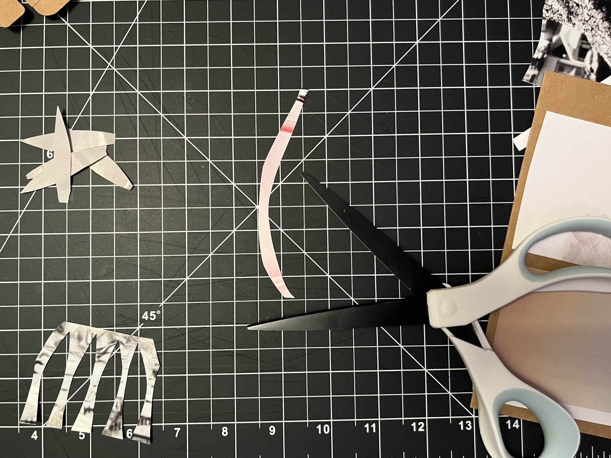 THE FUN CUTTING PART