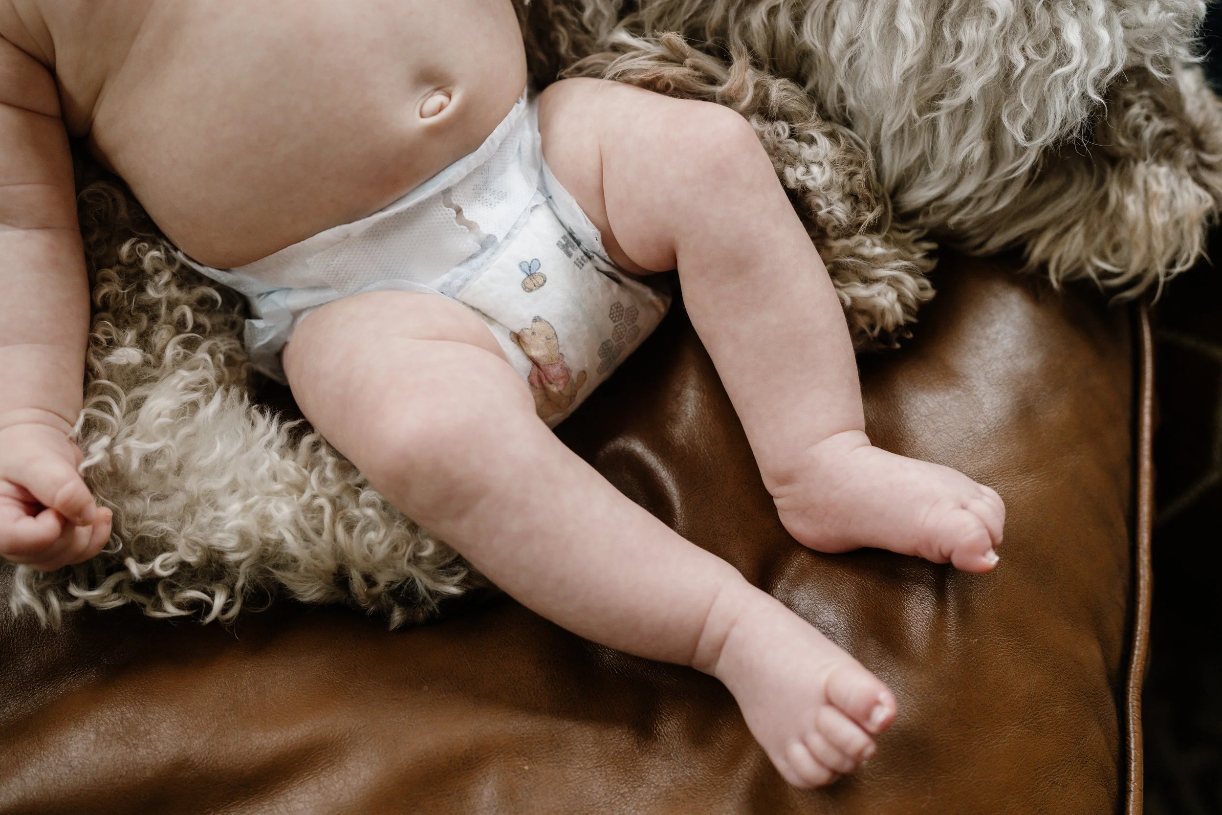 Melanie Lopez Photography11.jpg