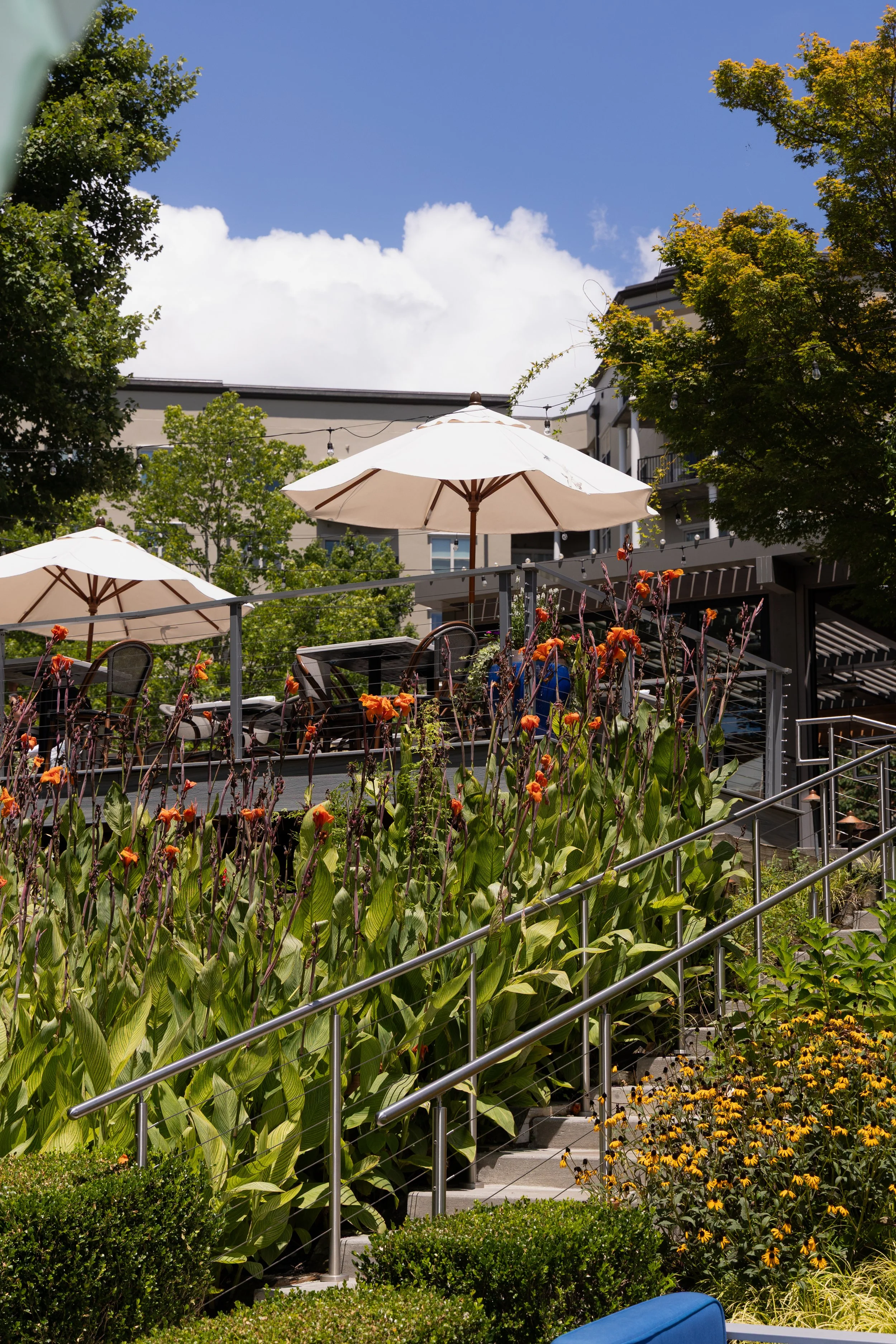 July 2025_Ray's on the River_All photos_35.jpg