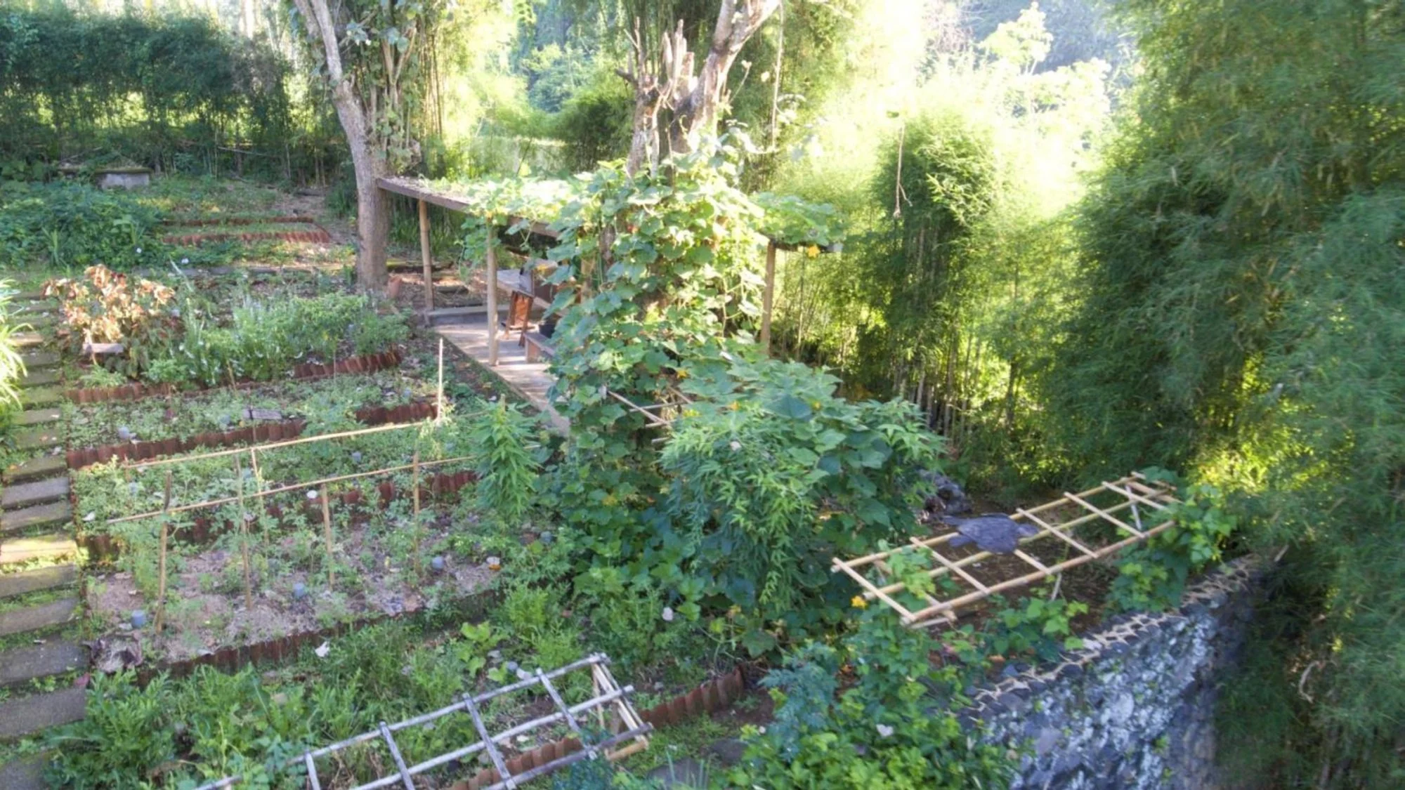 Sustainability is The New Luxury_pages-to-jpg-0005.jpg