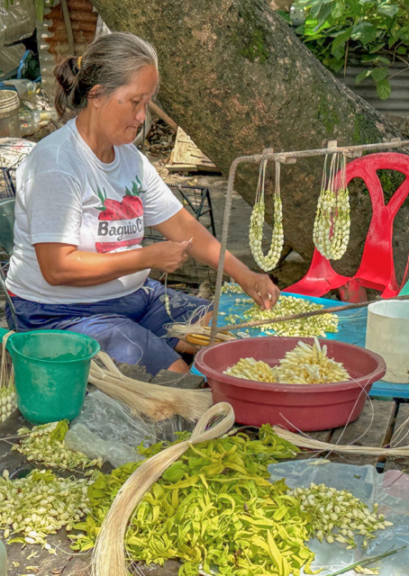 asia-sustainable-travel-ast-forum-manila-megaworld-hotels-and-resorts-sampaguita-immersion-san-pedro-laguna 3.png