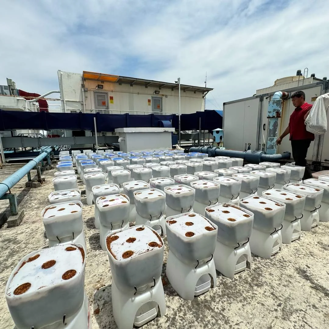 asia-sustainable-travel-ast-forum-manila-savoy-hotel-manila-rooftop-garden 1.jpg