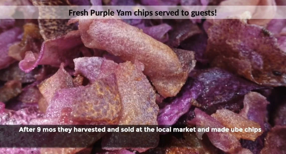 purple yam chips.JPG