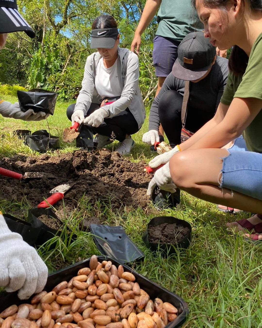 asia-sustainable-travel-tipsy-with-sustainability 6.jpg