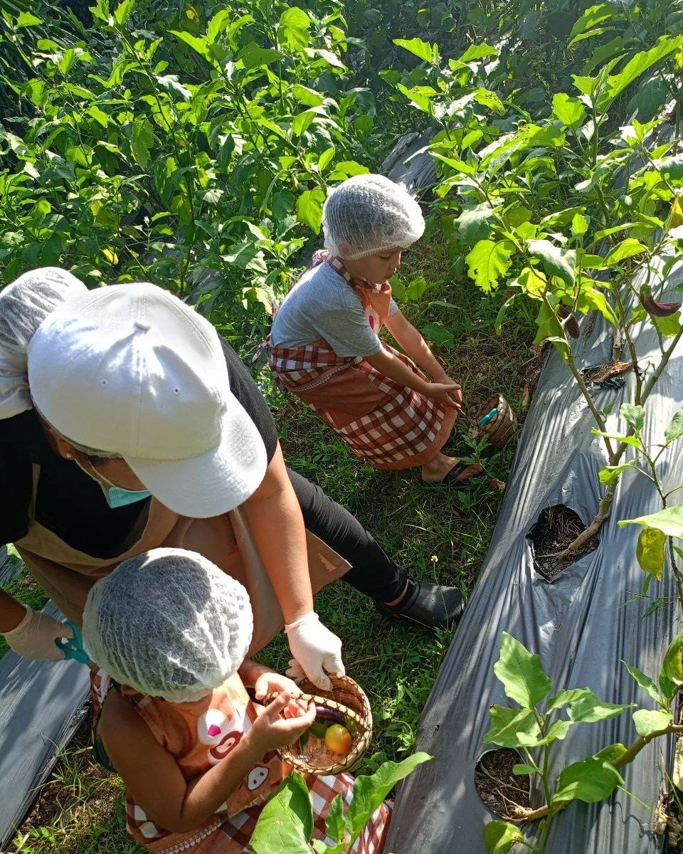 south farm panglao 2.jpg
