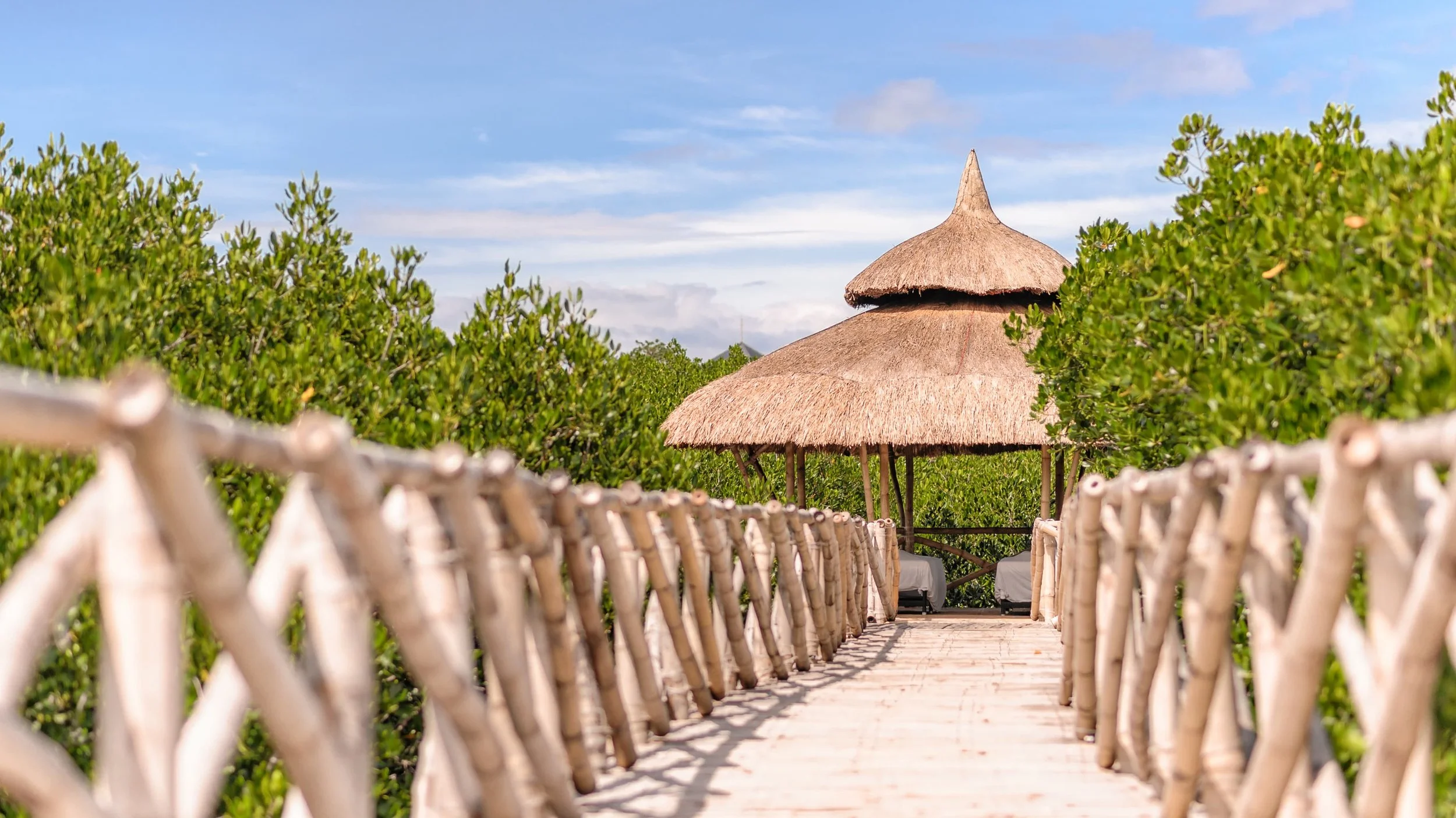 asia-sustainable-travel-north zen villas -bamboo walk 2 (1).jpg