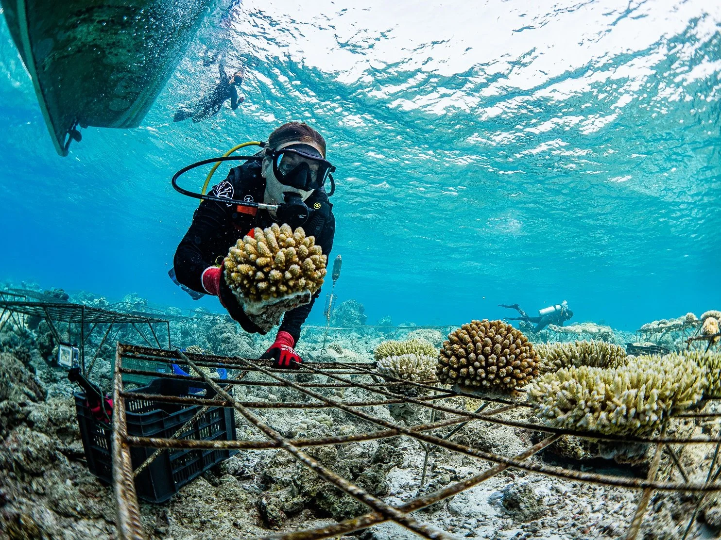 Asia-Sustainable-Travel-Soneva-Coral propagation.jpg