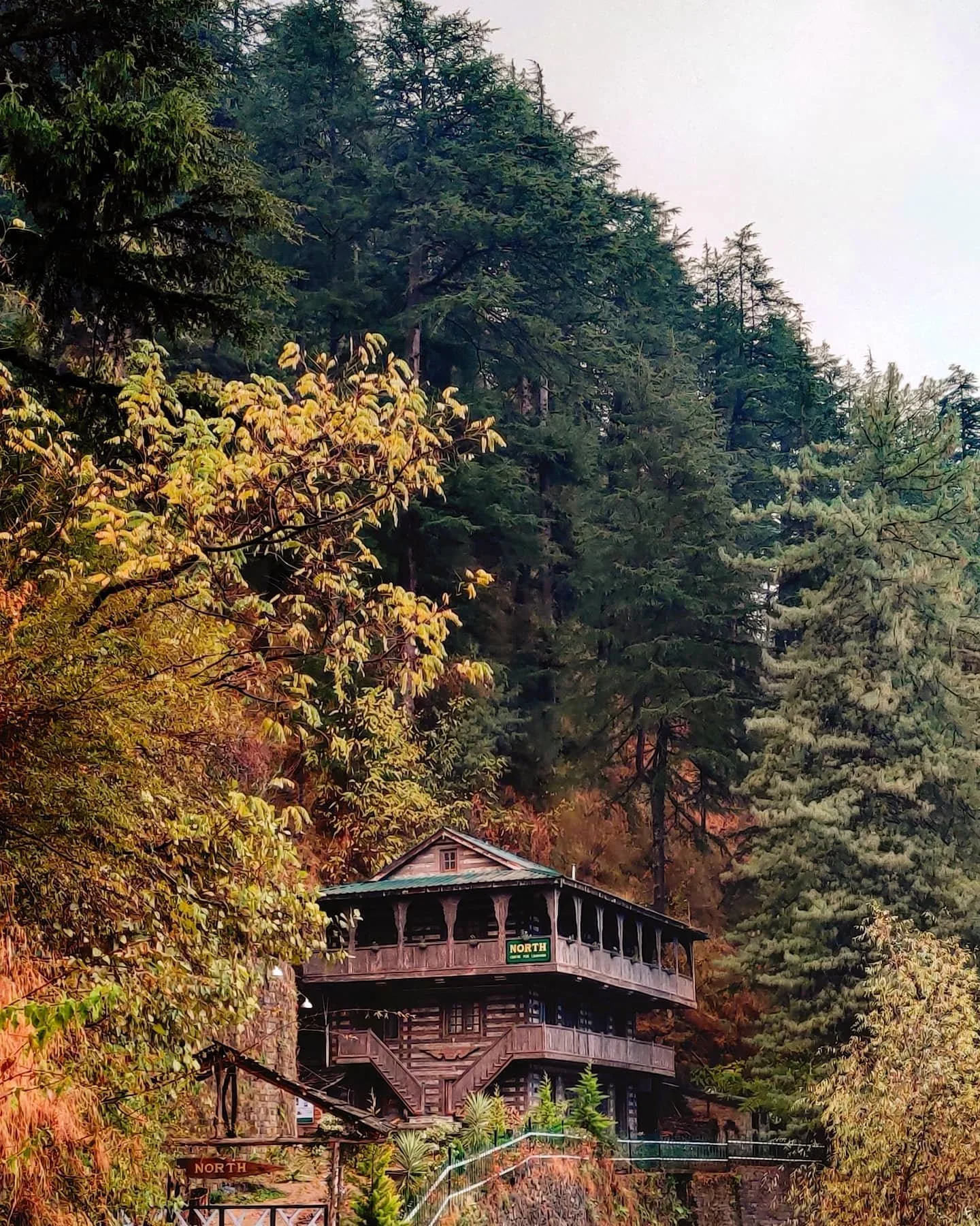 132251807_396684251598610_4712482407349602086_n_17871547781108005 (1) (1).jpg