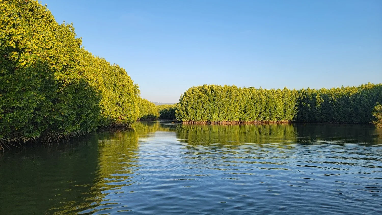 asia-sustainable-travel-panchabhuta-retreat 9.jpg