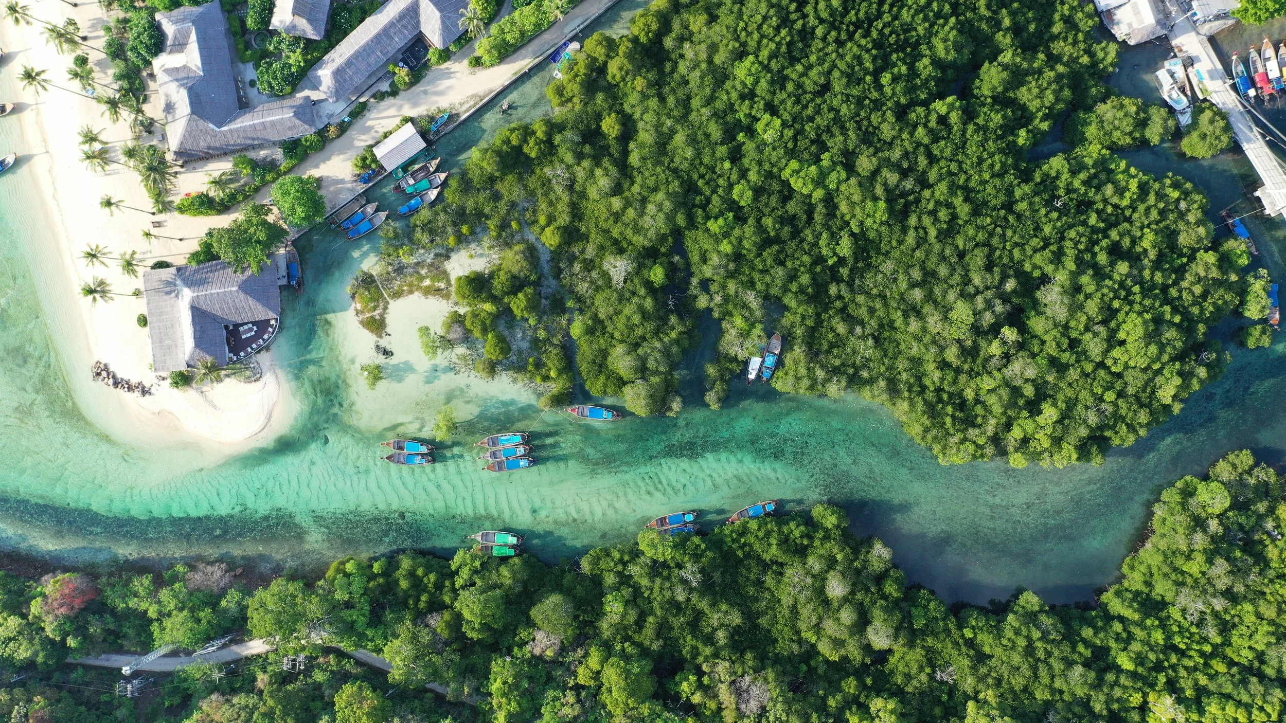 SAii Phi Phi Island Village -Mangrove.JPG