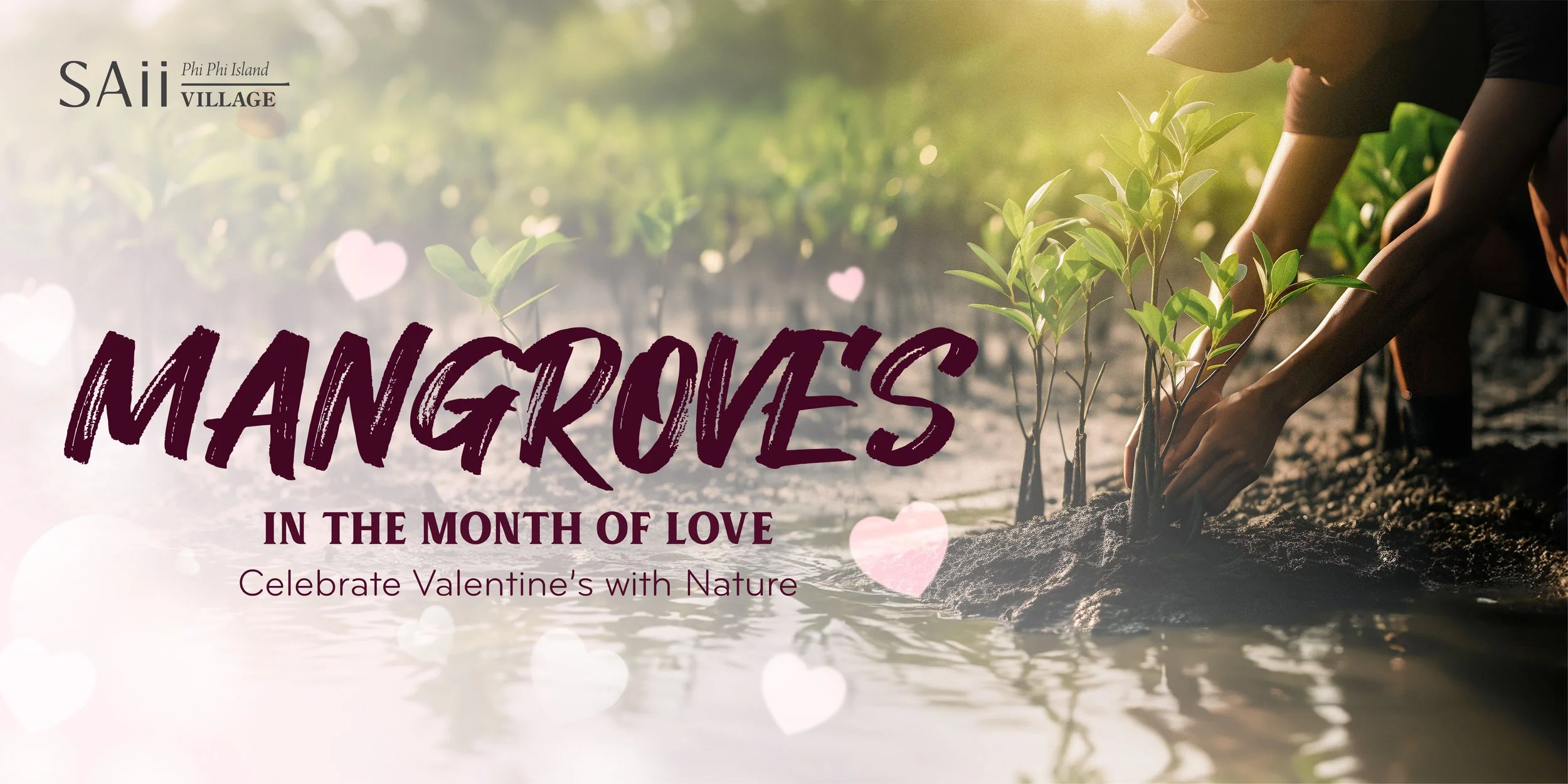 Mangroves-FB event.jpg