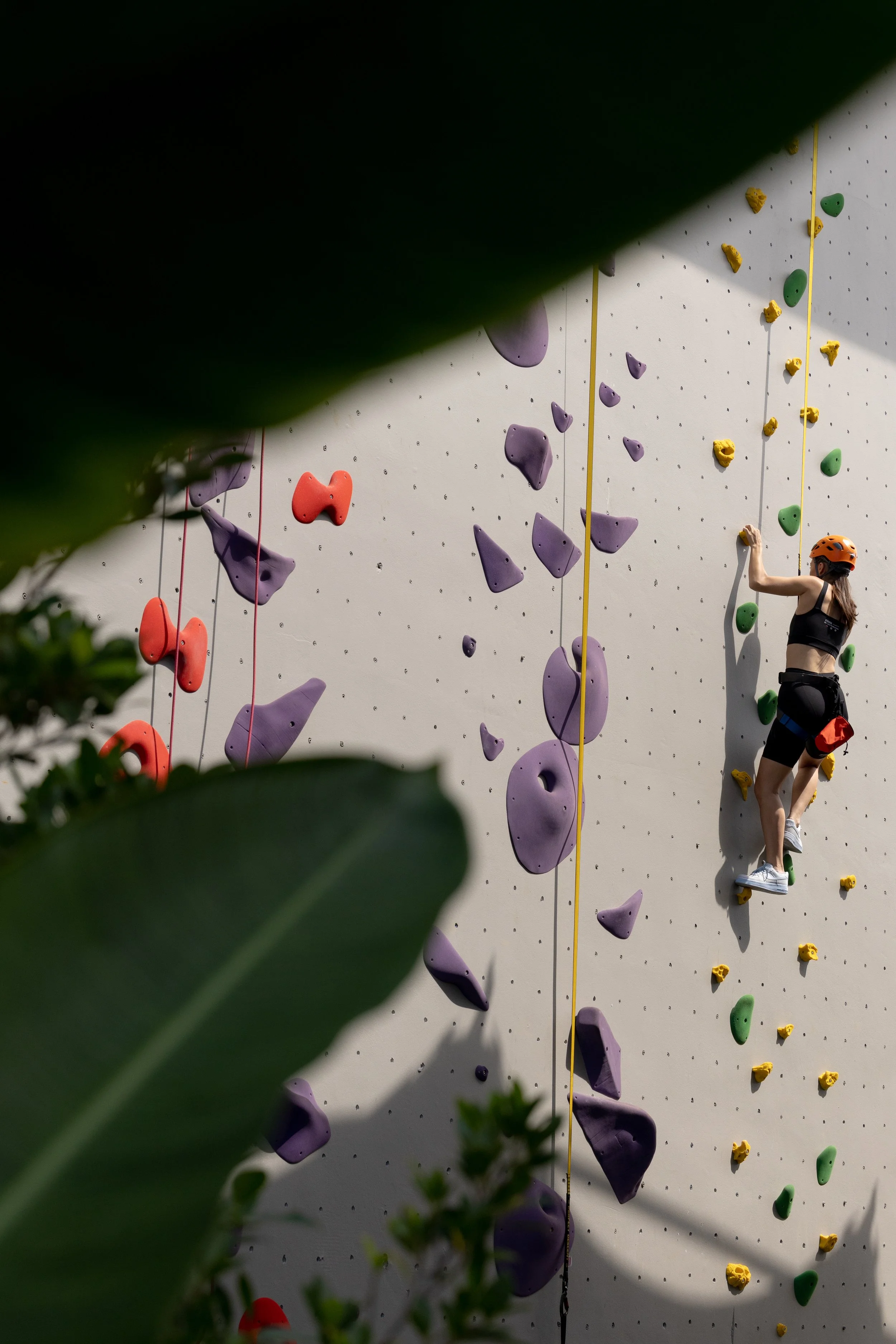 30. Rock Climbing Wall.jpg