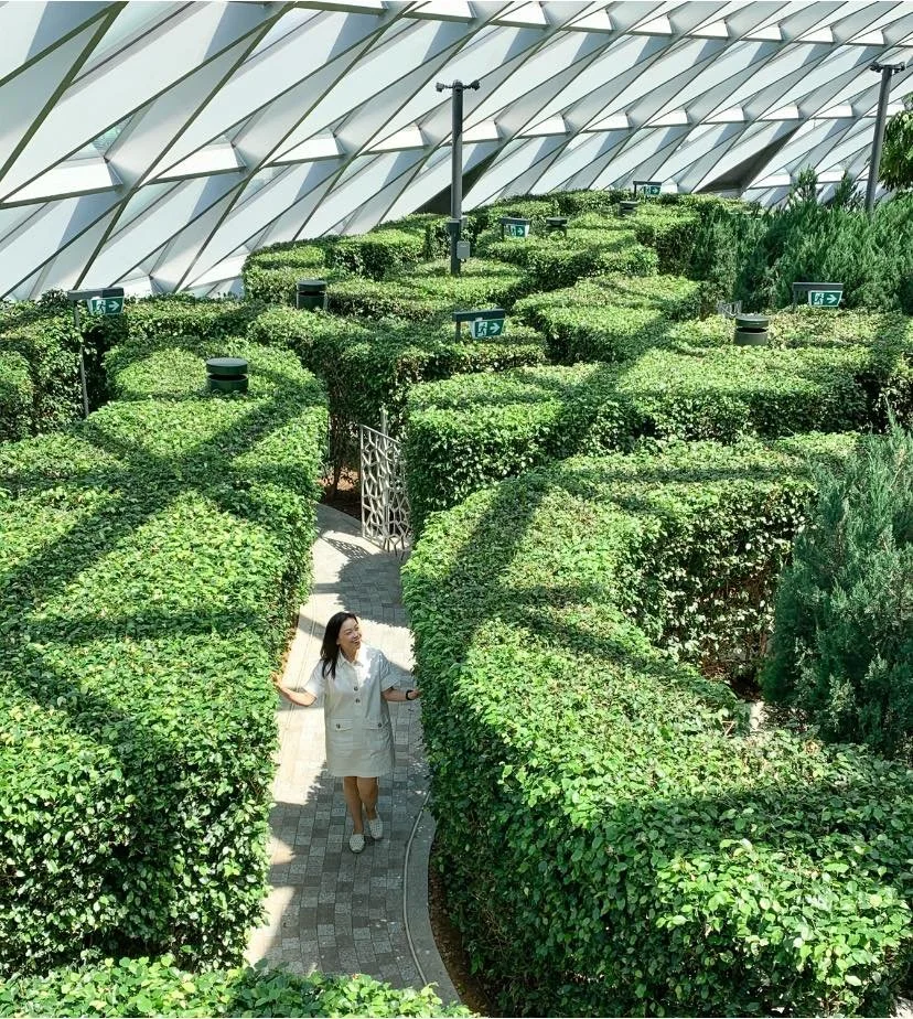 asia-sustainable-travel-jewel-changi-airport-hedge-maze.jpg