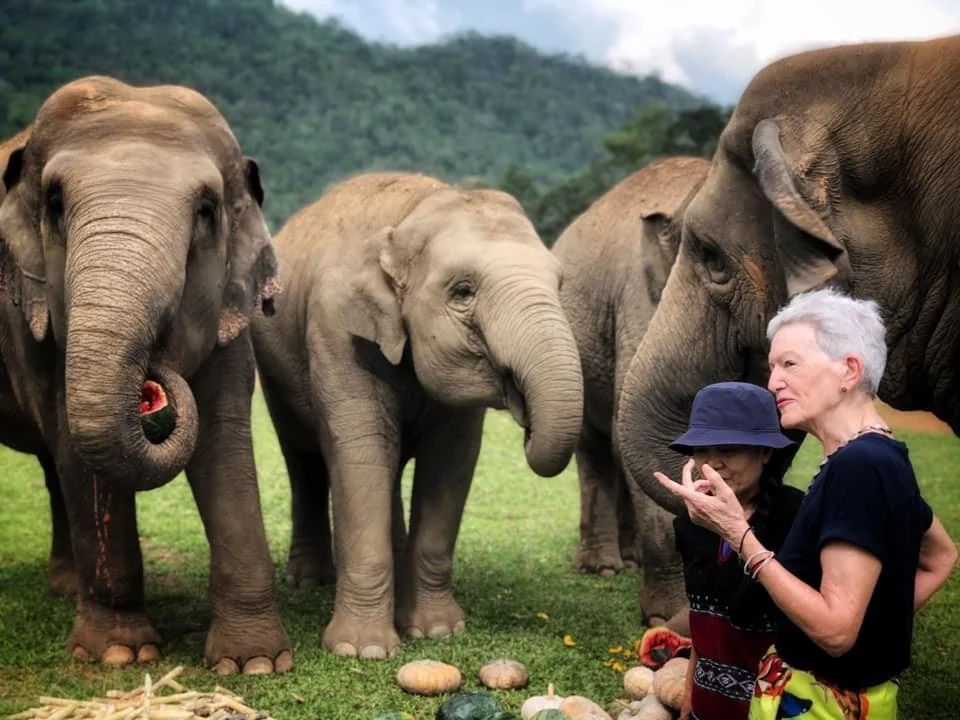Elephant Anne.jpeg