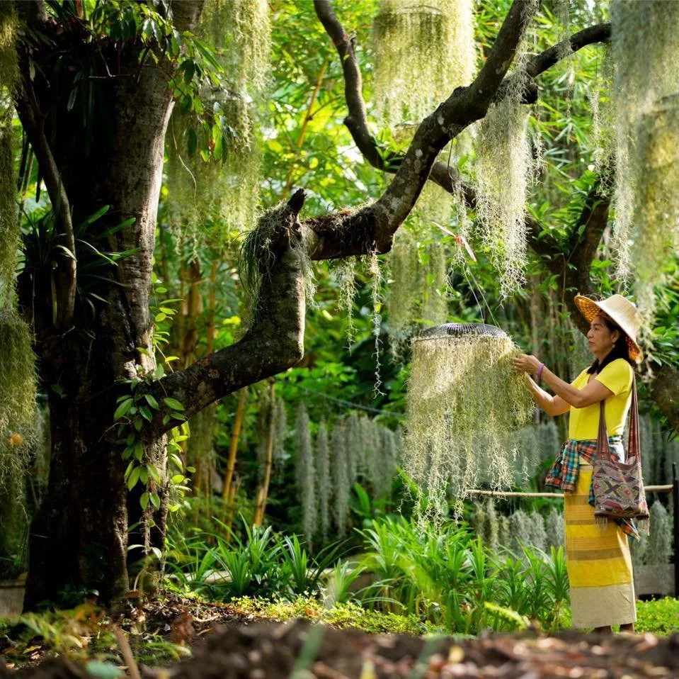 Asia Sustainable Travel - Poomjai Garden 2.jpg