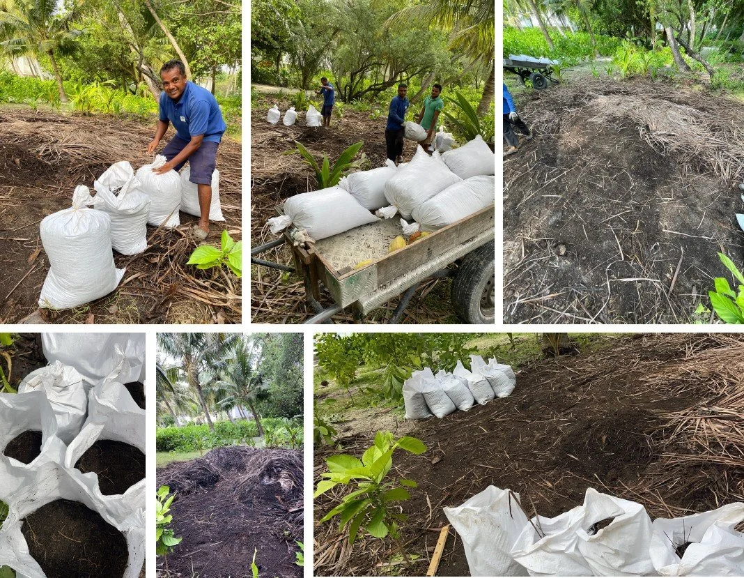 asia-sustainable-travel-Frond circle project Holiday Inn Resort Kandooma Maldives 2.jpg