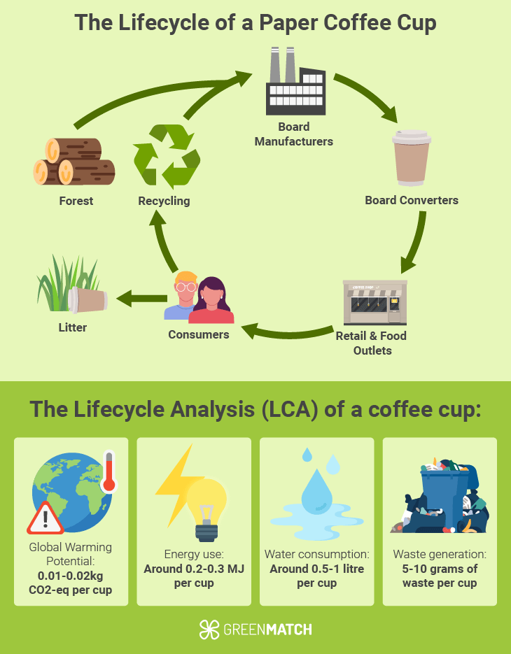 lifecycle-of-a-paper-cup.png