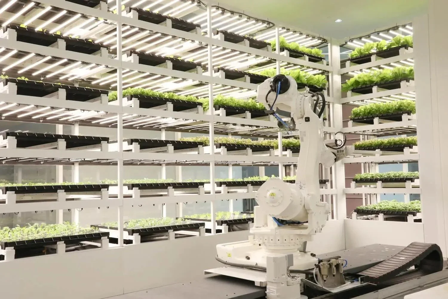 Asia-Sustainable-Travel-Tech Solutions for Sustainable Dining-FarmByte Innovation.jpg