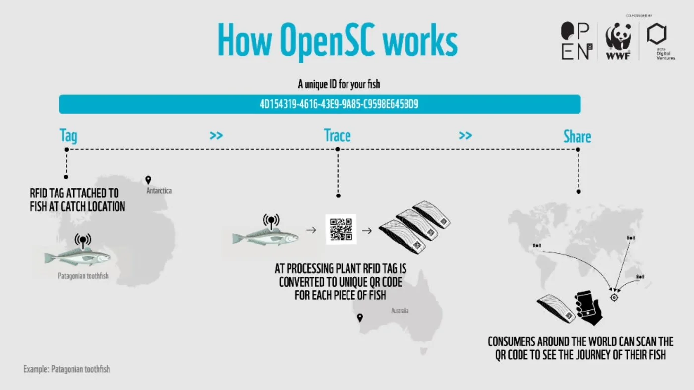 WWF Australia_Open SC_infographic.jpeg