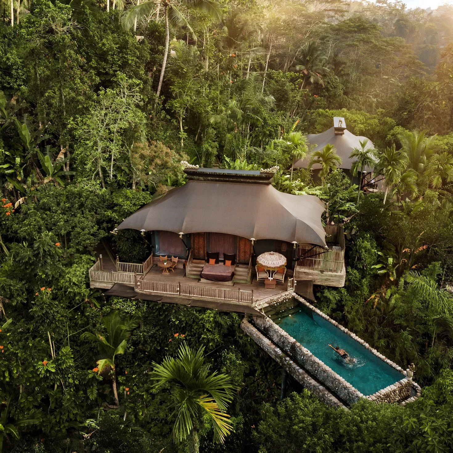 Designing Desire: The Business and Wellness Case for Biophilic Hospitality