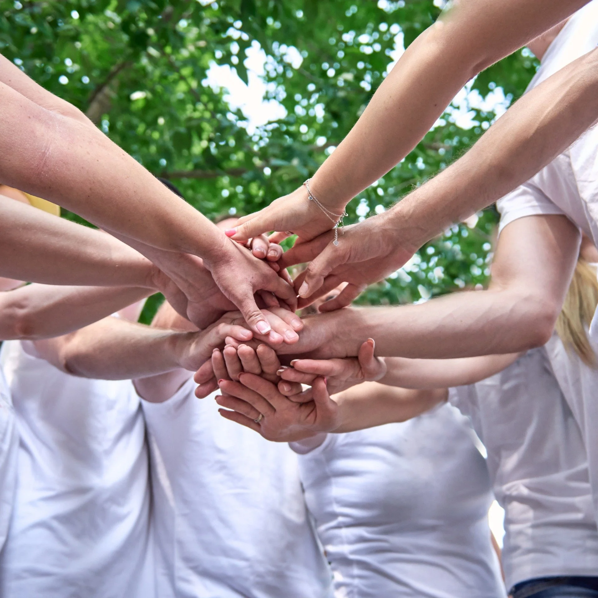 Sustainability Beyond the Manager: Engaging Your Entire Team
