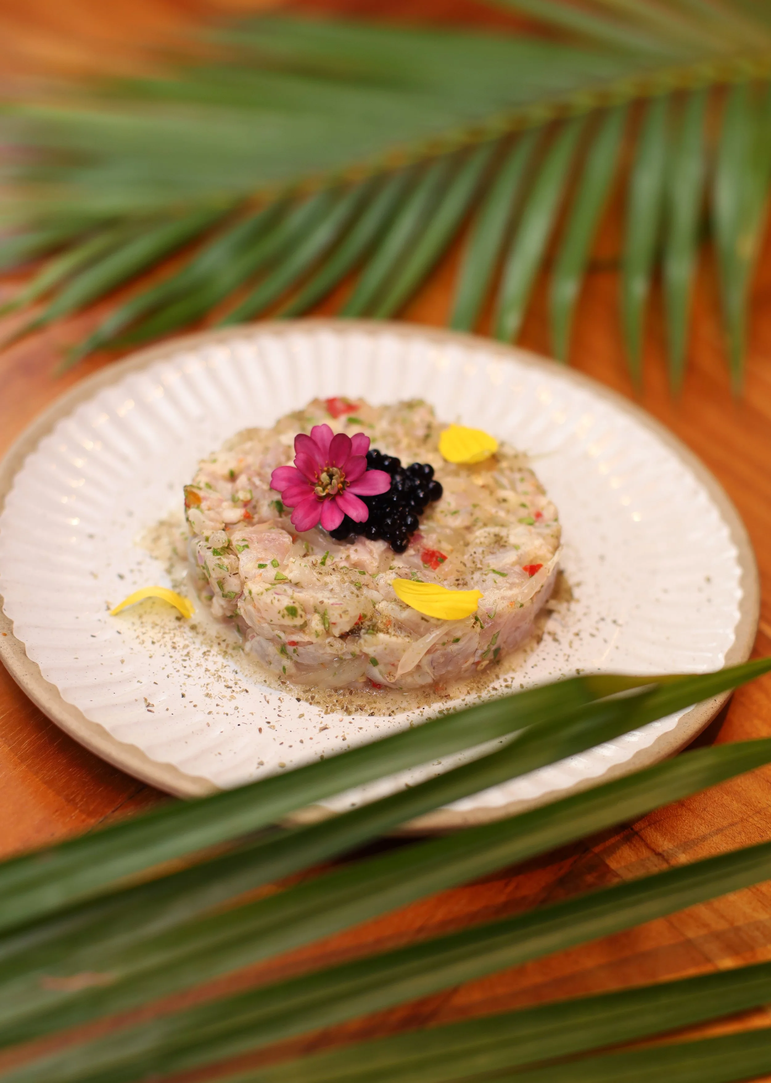 The Circular Grouper.JPG