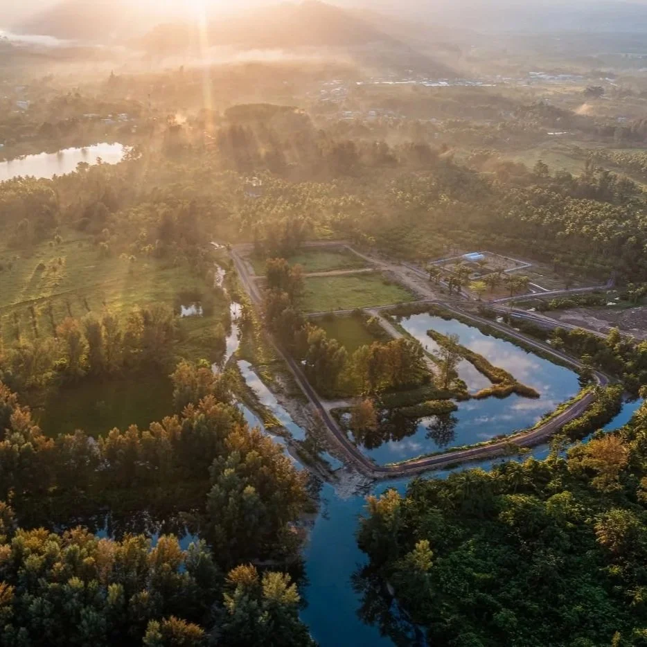 How Hotels Turn Sustainable Food Sourcing into A Brand Advantage