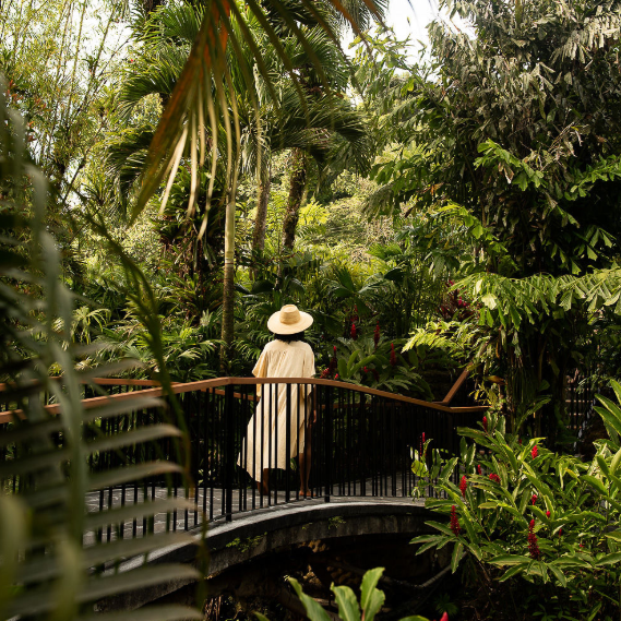 A Closer Look at Sustainability-Centric Loyalty Programs for Independent Hotels in Asia