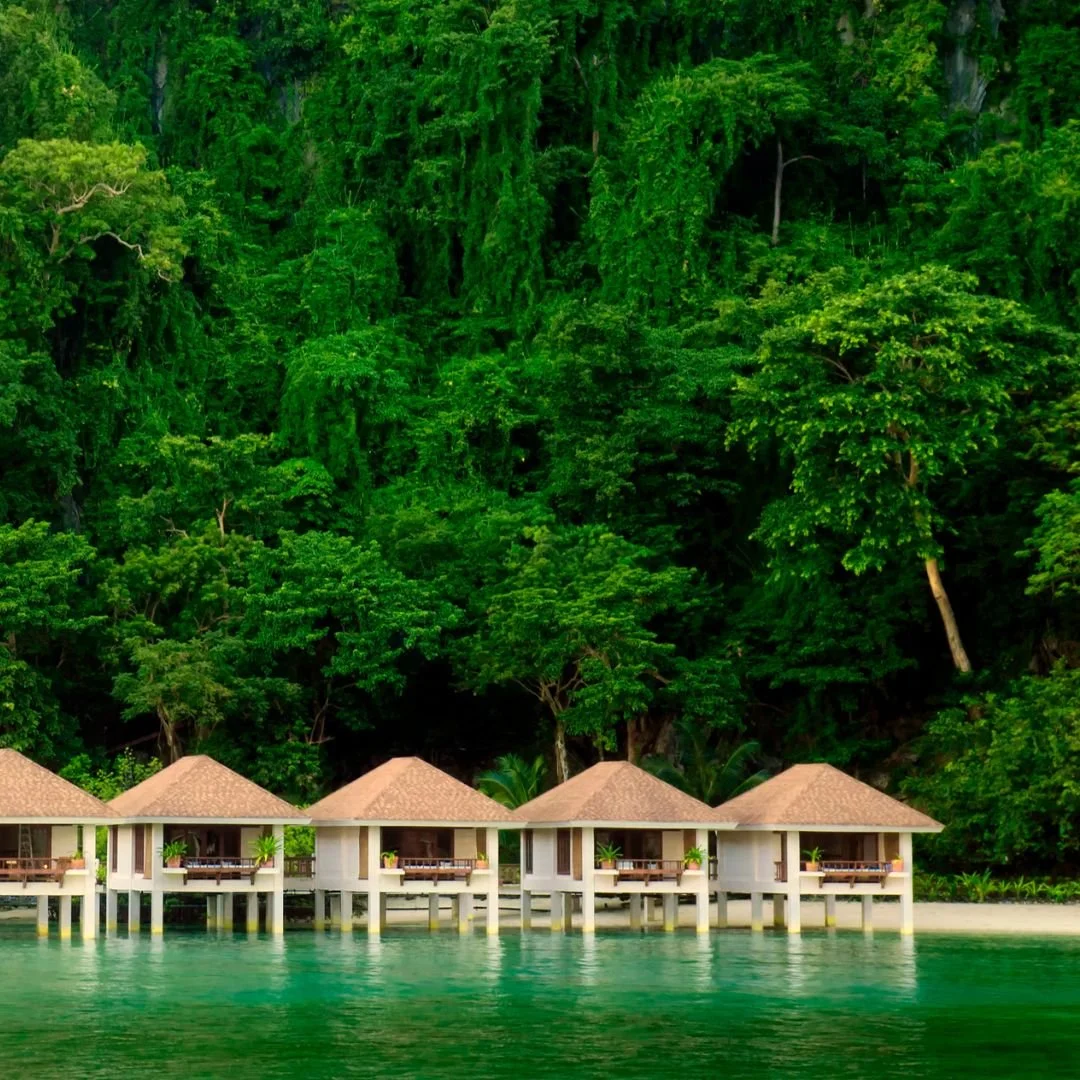 Beyond Greenwashing: How Verifiable Storytelling Drives Impactful, Responsible Tourism