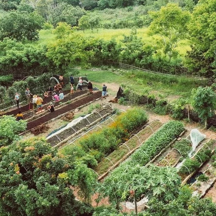 Breaking the Chain to Save It: How Asia’s Hospitality Can Fix Food Systems