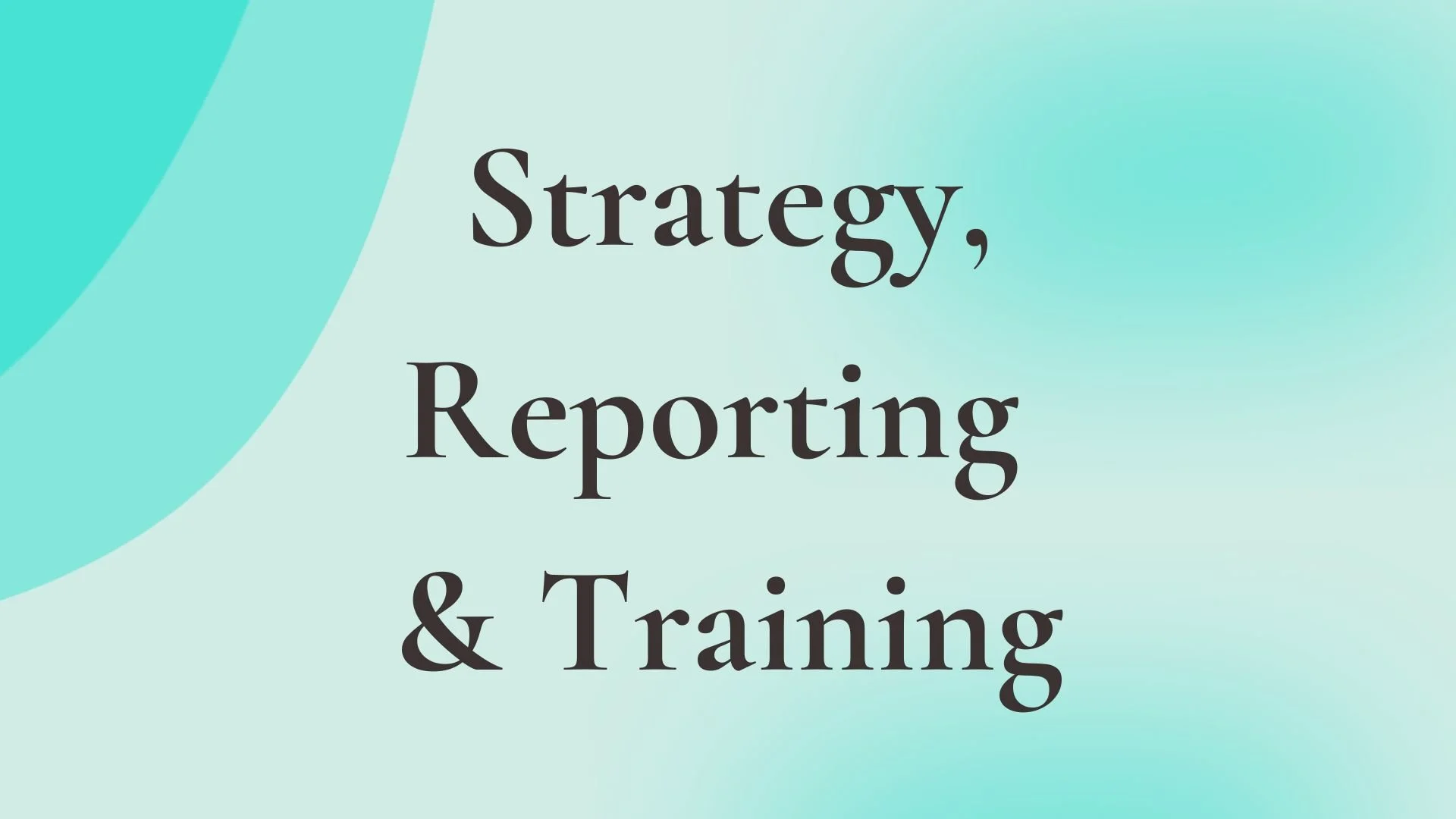Strategy, Reporting &amp; Training