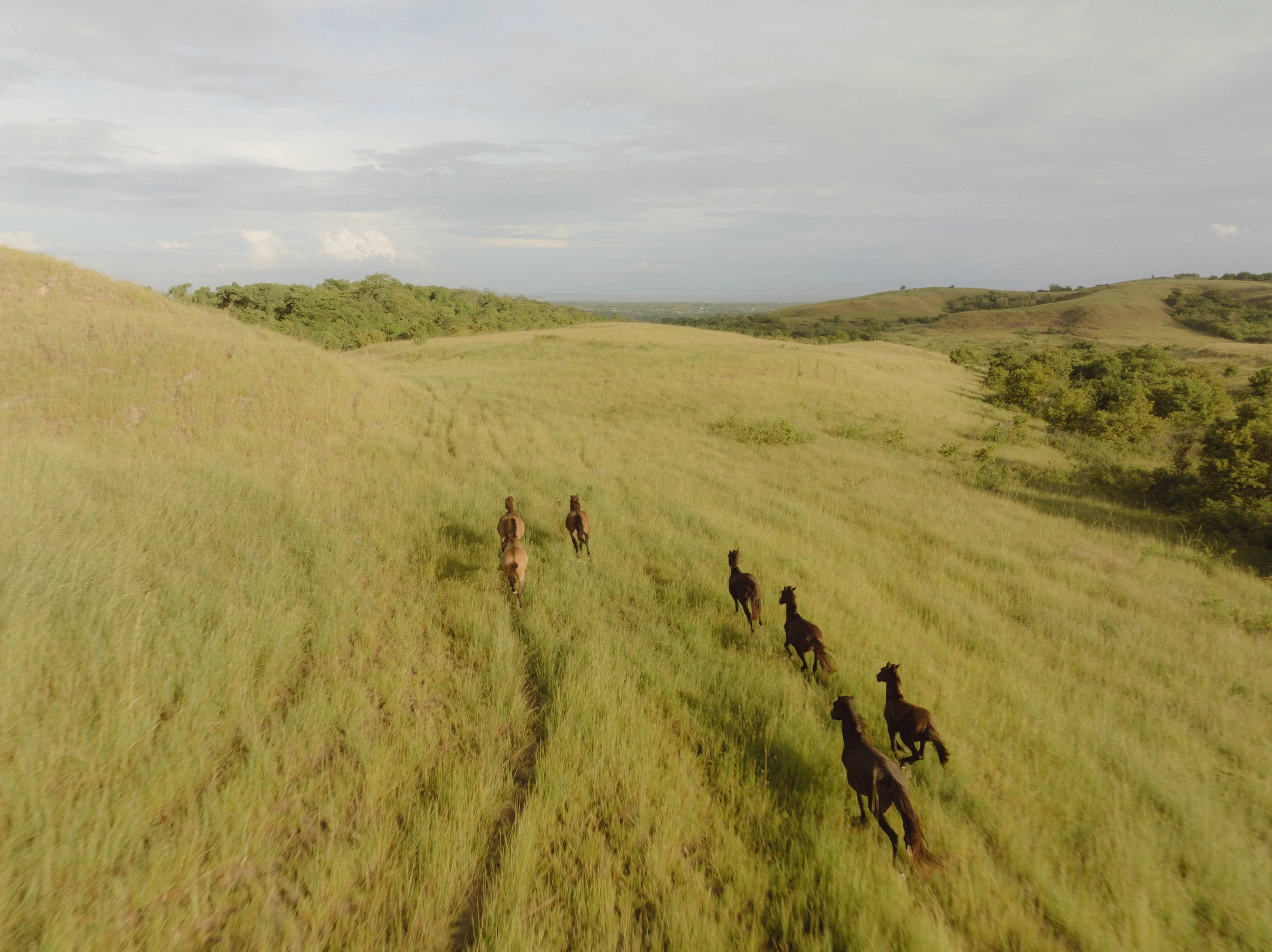 7 Sumba Discovery 16 Pie Arts.jpeg